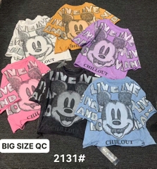 2131- S-0020- A. Crop rách Micky chữ 00264