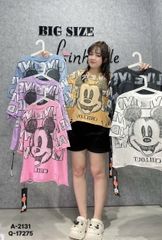 2131- S-0020- A. Crop rách Micky chữ 00264