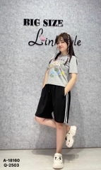 2503 - S-0020  QS ngố 5t Sọc 00192