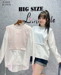 2616 S-0030- A.TD cổ tròn 00245