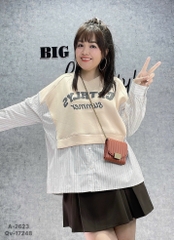 SALE- 2623 A.TD phối sọc 00175