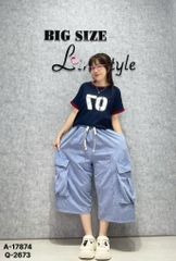 S-0020--2673 Q.Lửng hộp 00280