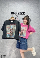 2799 A.Crop Rút Coca 00270