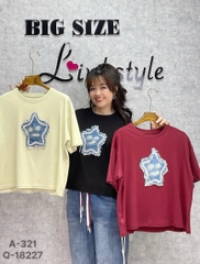 Áo Crop SAO lửng BIGSIZE QCCC chất đẹp - 321