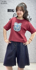 Áo Crop Tho- lửng BIGSIZE QCCC chất đẹp - 325