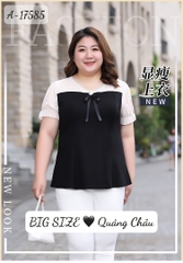 Áo Kiểu BIGSIZE Peplum cổ V 17585