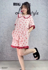 S-0020-- 62407- ss.Pi 00388