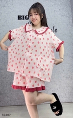 S-0020-- 62407- ss.Pi 00388