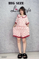 S-0020-- 62407- ss.Pi 00388