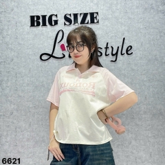 6621 S-0020 A.polo TR RON 00224