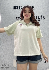 6623 S-0025 A.polo TR CG 00210