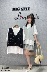 6637 - A.OVS BC 00297