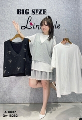 6637 - A.OVS BC 00297