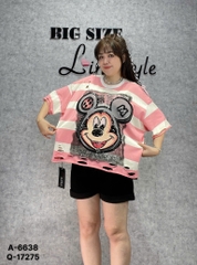 6638 A.Crop rách sọc Micky 00351