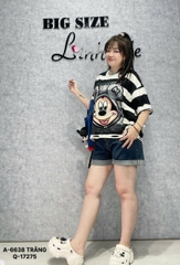 6638 A.Crop rách sọc Micky 00351