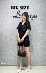 S-0020--8080 SK. 2d 00424