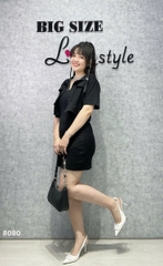 S-0020--8080 SK. 2d 00424