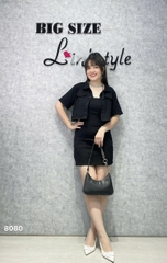 S-0020--8080 SK. 2d 00424