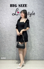 S-0020--8080 SK. 2d 00424