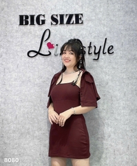 S-0020-- 8080 - SK. 2d 00424