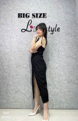 SALE--8109 SV. 2d xẻ 00300