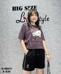 88011 S-0020  QS logo Tho-  00160