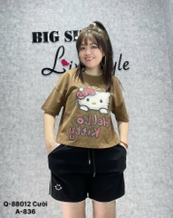 88012 S-0020  QS logo Cười  00160