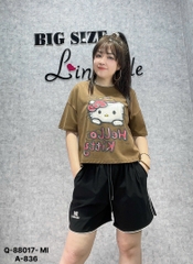 88017- S0020  QS chữ MI- 00160