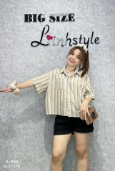 909 SM.ngắn sọc 00261