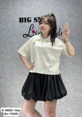 9892 - S-0020 A.Polo logo Hoa 00232