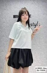 9892 - S-0020 A.Polo logo Hoa 00232