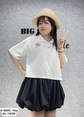 9892 - S-0020 A.Polo logo Hoa 00232