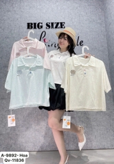 9892 - S-0020 A.Polo logo Hoa 00232