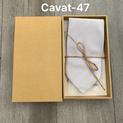 Cavat41---Cavat60 - Cavat Hộp DÀI Khăn 10cm