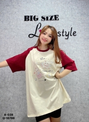 038 S-0020- A. OVS tay ráp -meow   00180