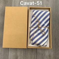 Cavat41---Cavat60 - Cavat Hộp DÀI Khăn 10cm