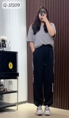 17209 Q.TT 00270 TRANS