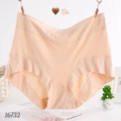 16732 Q.lót 49- Da