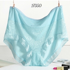 Quần lót chip BIG SIZE thun lưới ĐẠI 17350 XANH