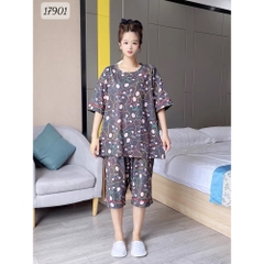 17901 SL.DAIxin Tho- XÁM