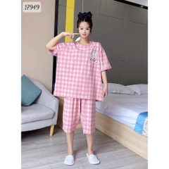 17949 SL.DAIxin CR xéo - HỒNG