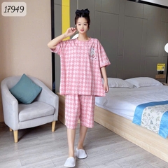 17949 SL.DAIxin CR xéo - HỒNG