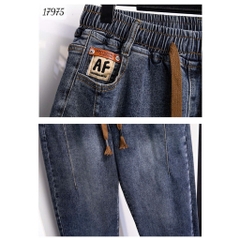 17975 Q.J dài AF 00387 XANH