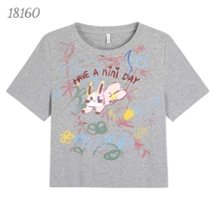 18160 Áo CropRop Tho- MINI XÁM