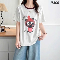 18306 A. Meo- C.A.T - XÁM