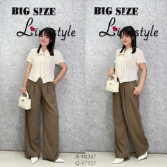 S-0020--17137 Q.tây 00340 suông 3097- NÂU