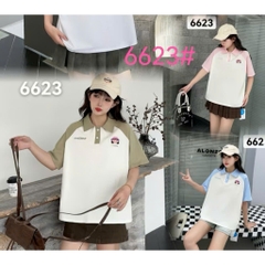 6623 S-0025 A.polo TR CG 00210