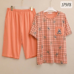 17978 SL.DAIxin G- CR - CAM