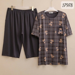 17978 SL.DAIxin G- CR - XÁM