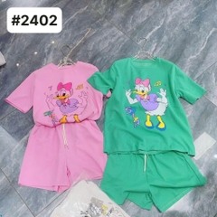 2402 S-0020  Ss.Thai Vit- 00240